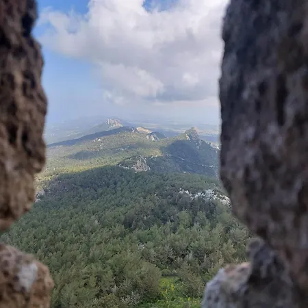 Exotic & Ξενοδοχείο