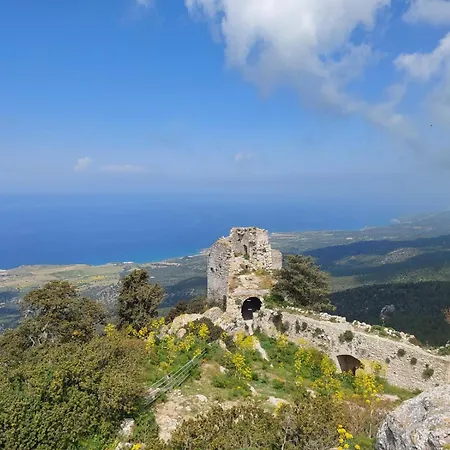 酒店 Exotic & Boghaz